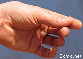 Anatomical photo references for 3d modeling of hands
