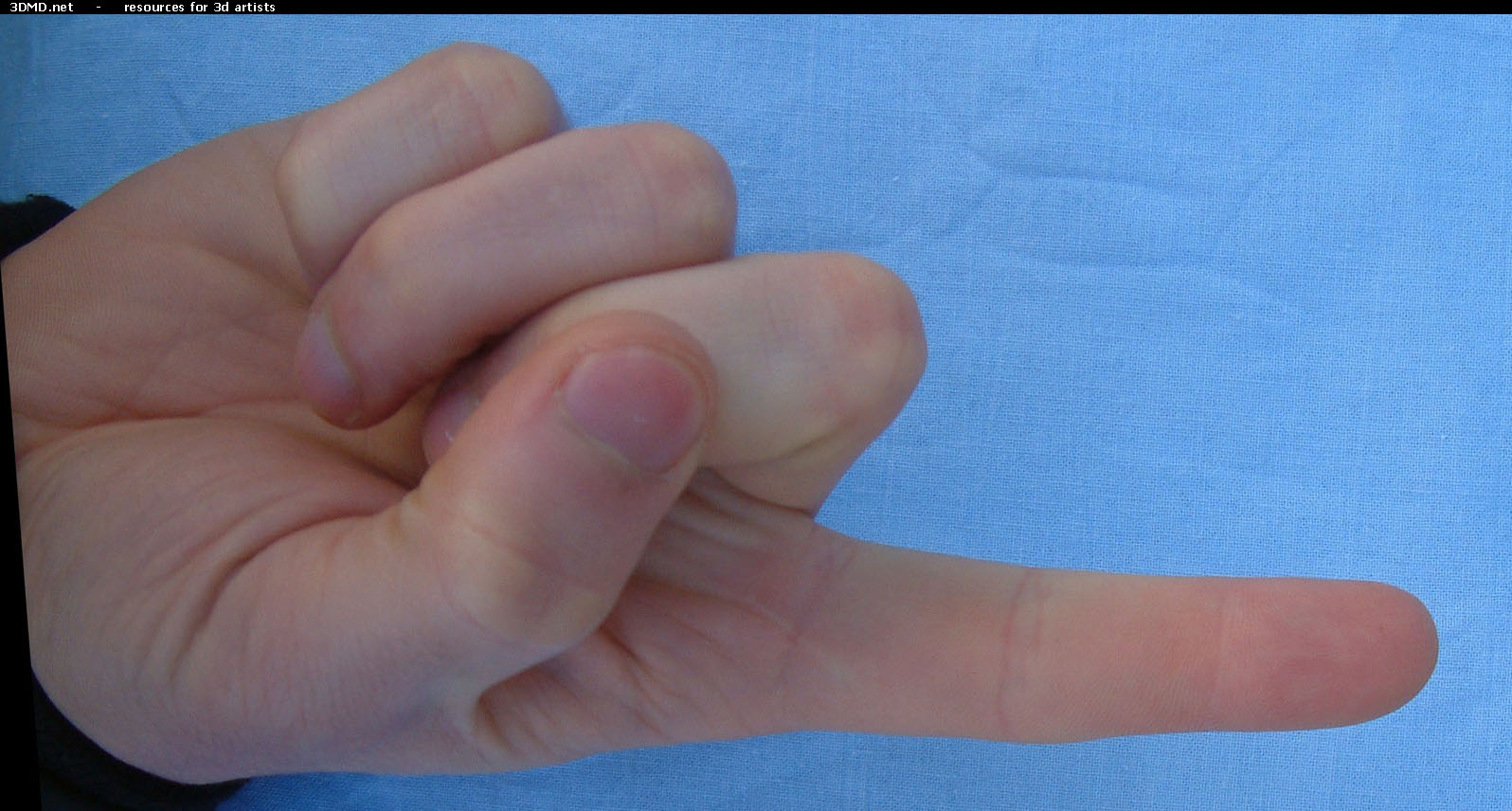 Male Forefinger Bottom  